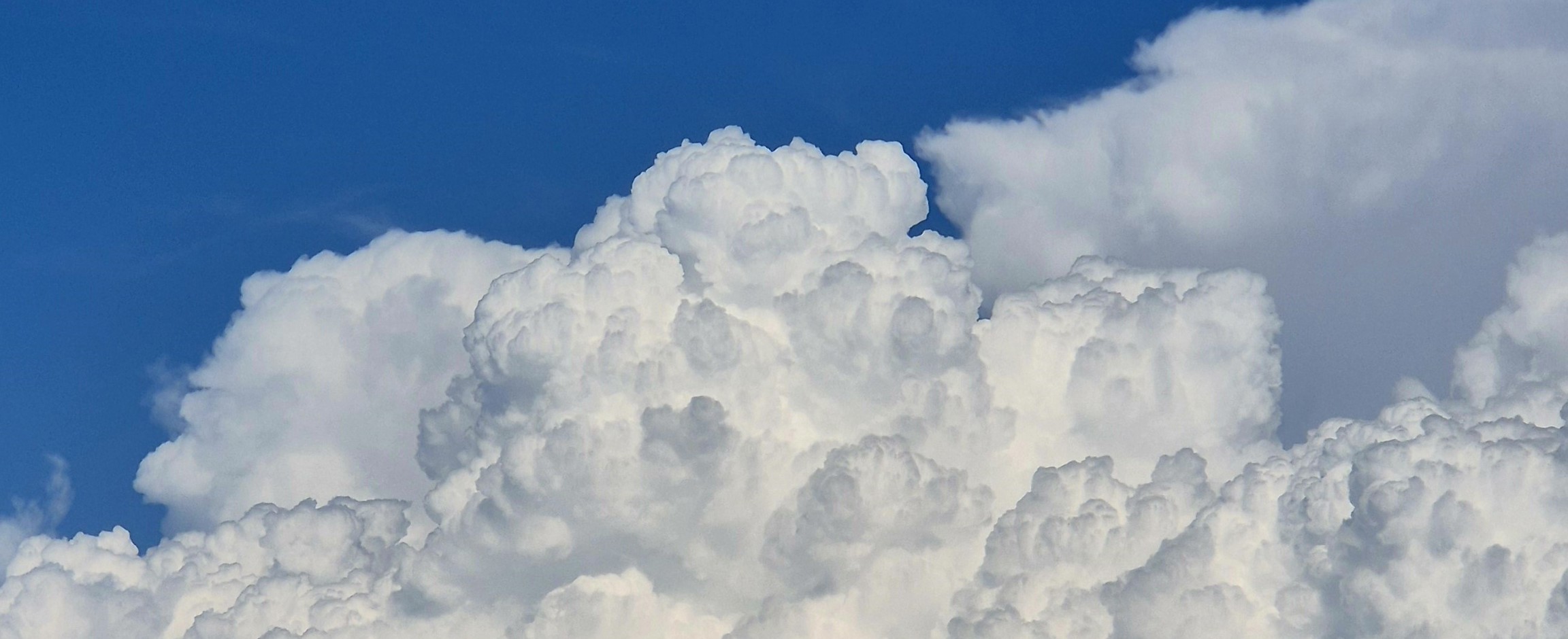 Wolk